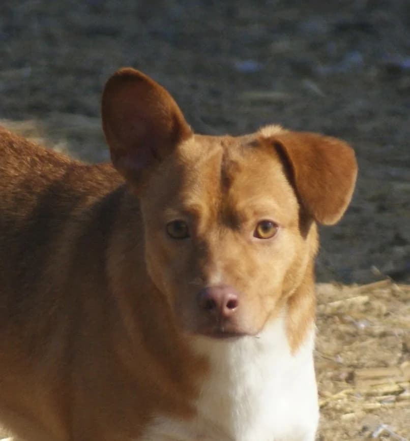 ❤️Poncho❤️ photo 2