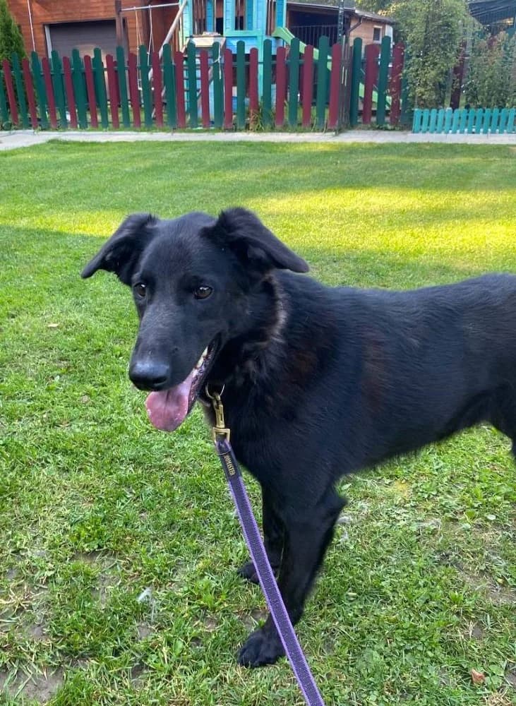 REM onze held! photo 5