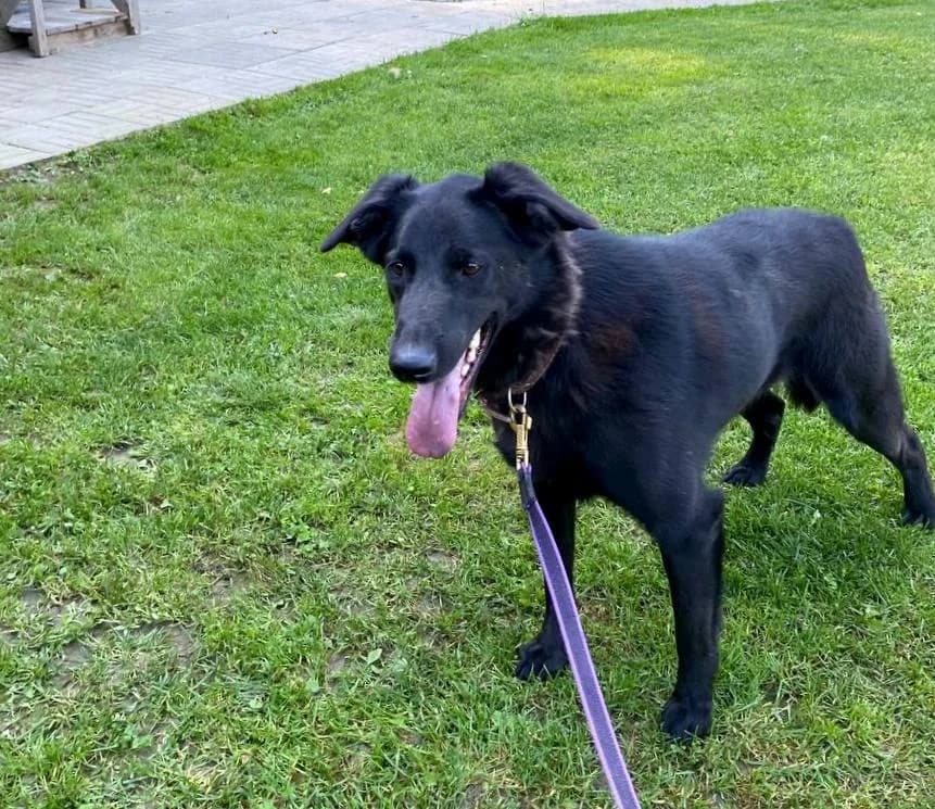 REM onze held! photo 7