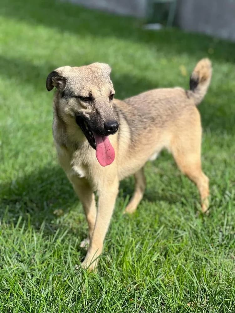 ❤️Resi❤️ photo 5