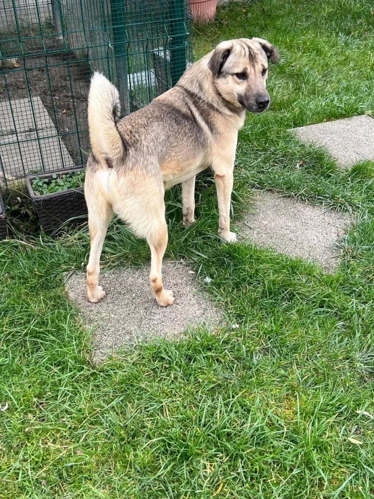 ❤️Resi❤️ photo 6