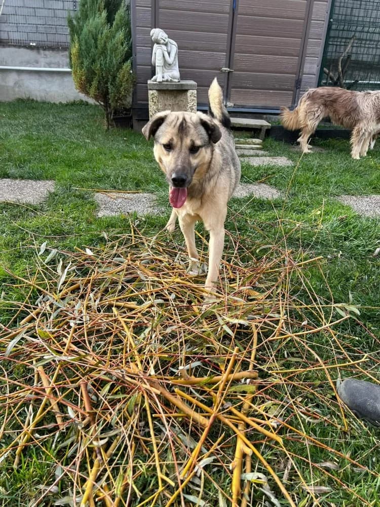 ❤️Resi❤️ photo 7