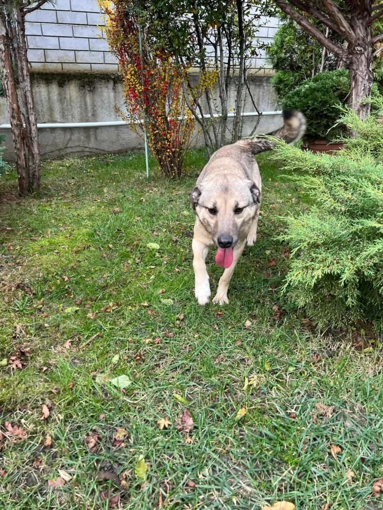 ❤️Resi❤️ photo 8