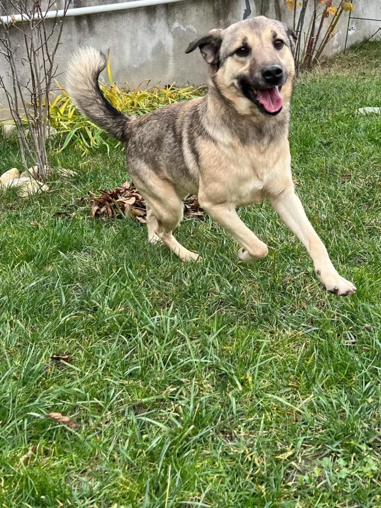 ❤️Resi❤️ photo 3