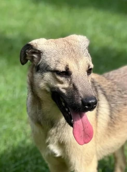 ❤️Resi❤️ photo 4