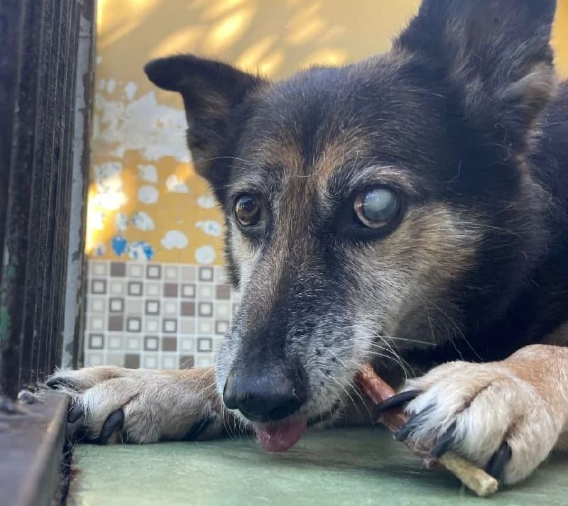 ROBINSON16036 photo 2