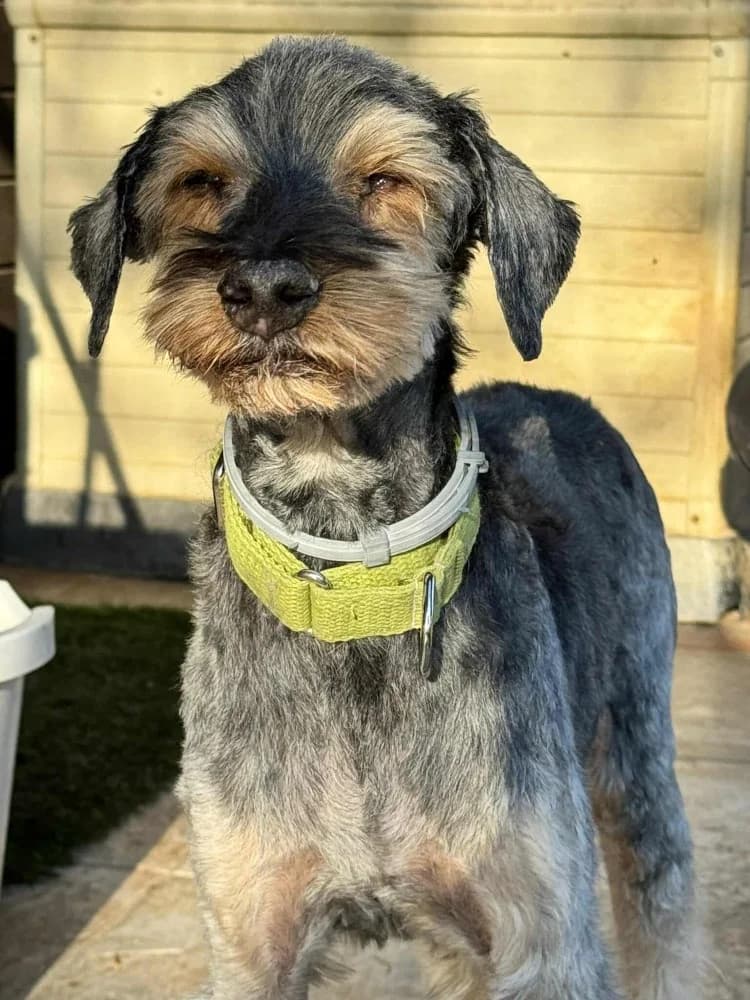 Rox BR senior photo 8