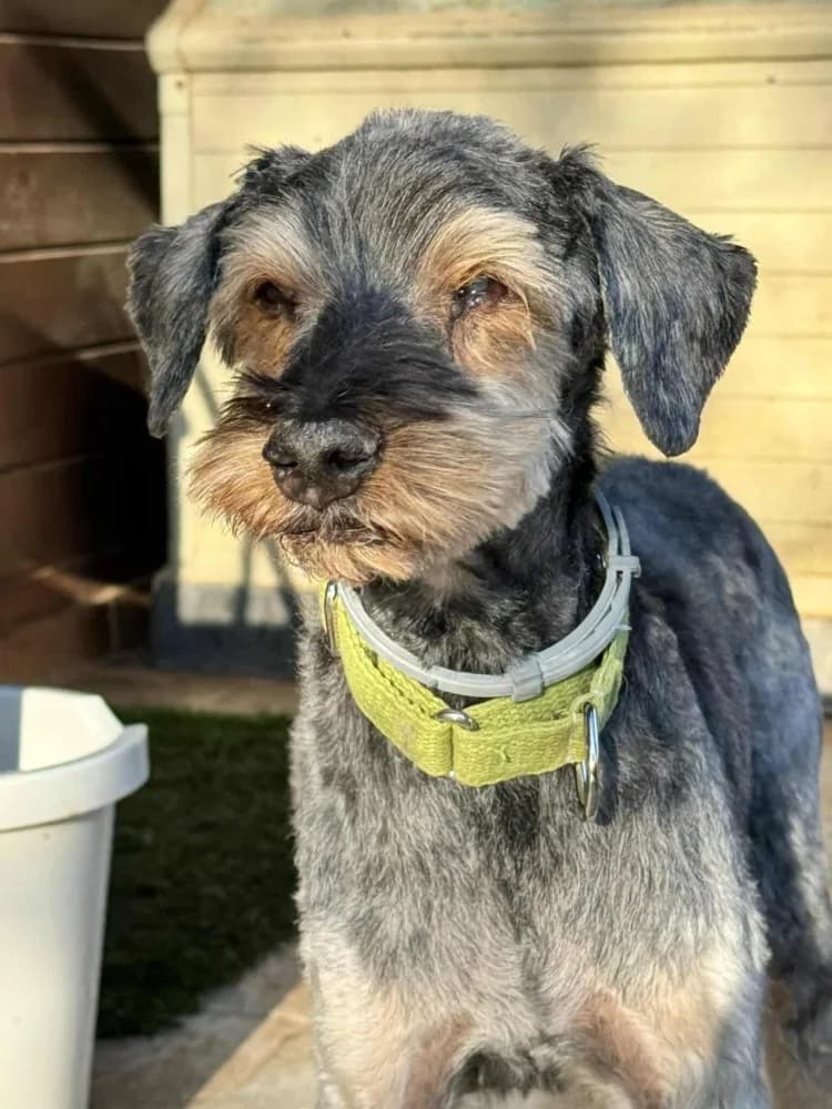 Rox BR senior photo 3