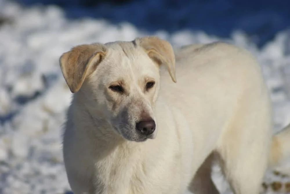 ❤️Roxy❤️ photo 7