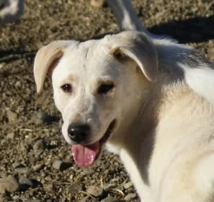 ❤️Roxy❤️ photo 2