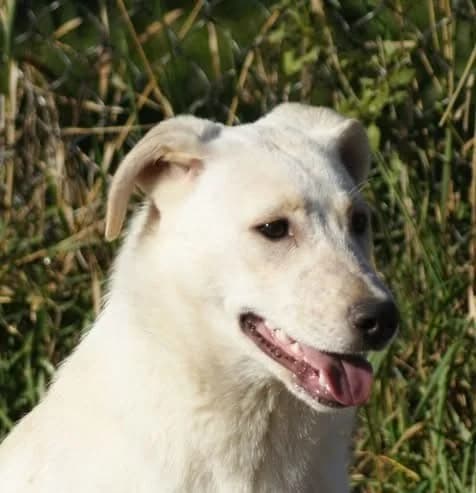 ❤️Roxy❤️ photo 3