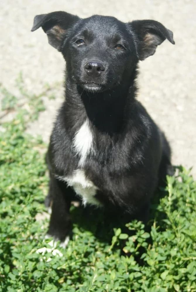 ❤️Sanziana❤️ photo 5