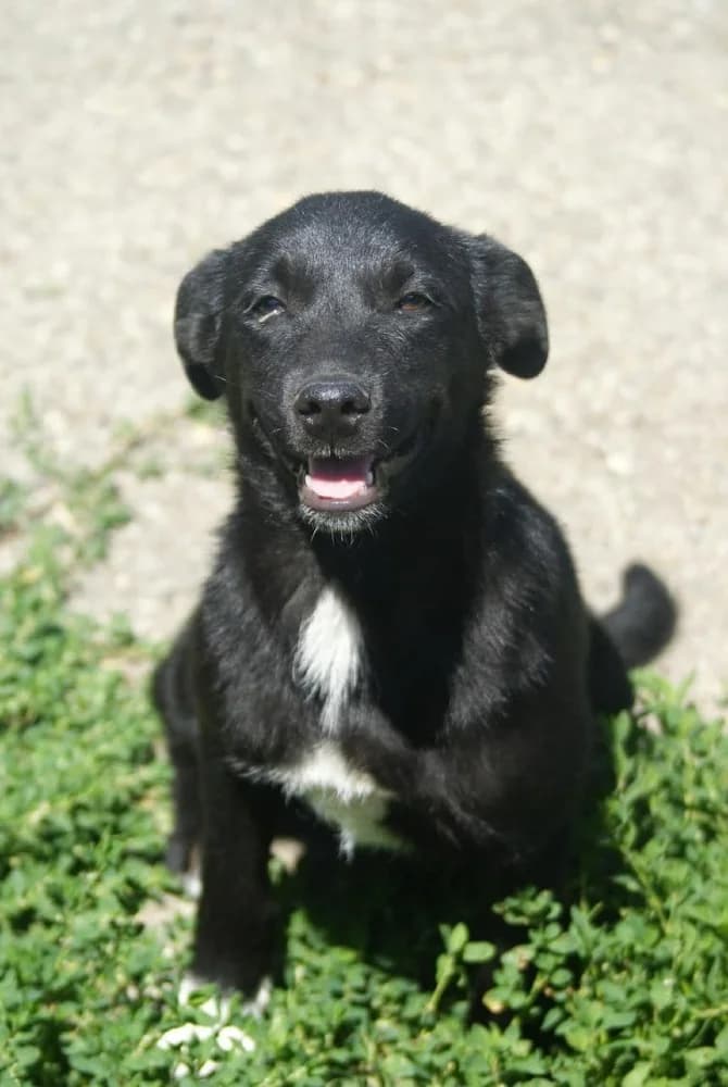 ❤️Sanziana❤️ photo 6