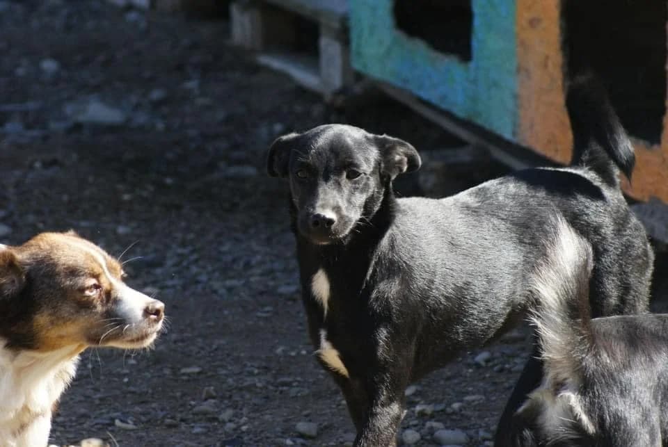 ❤️Sanziana❤️ photo 8