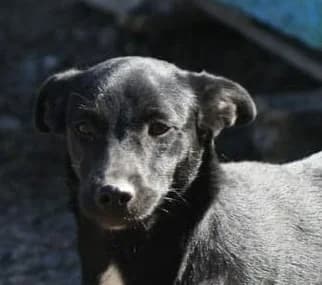 ❤️Sanziana❤️