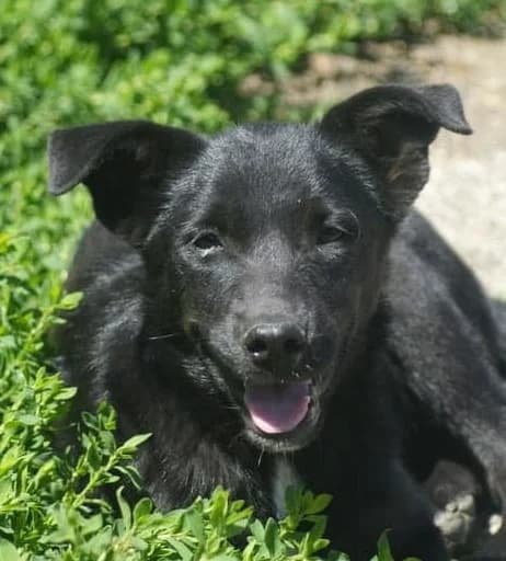 ❤️Sanziana❤️ photo 2