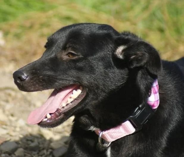 ❤️Sanziana❤️ photo 3