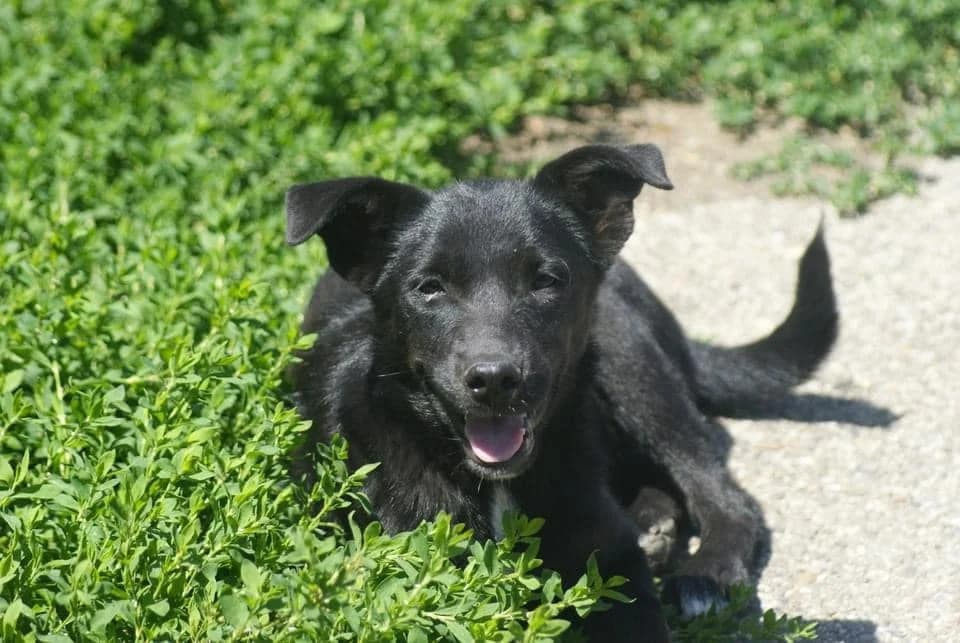 ❤️Sanziana❤️ photo 4