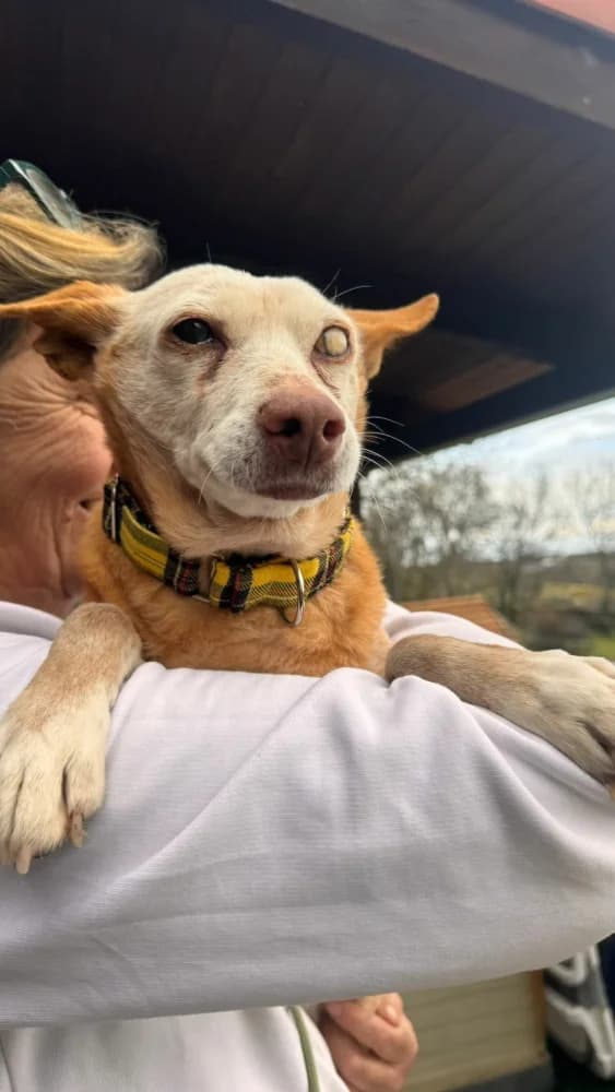 Scarlet BR senior photo 6