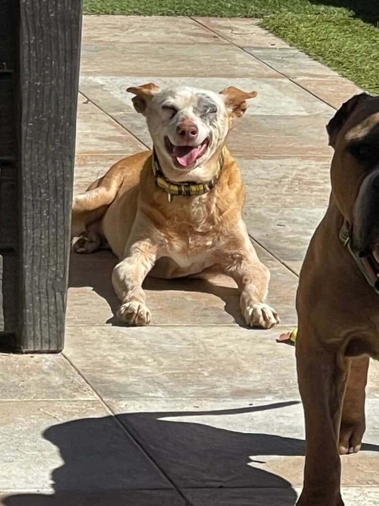 Scarlet BR senior photo 2