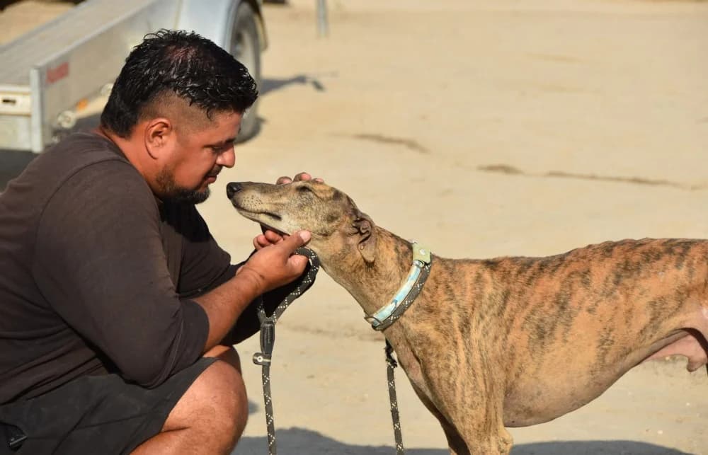 Solo de Moris DC photo 6