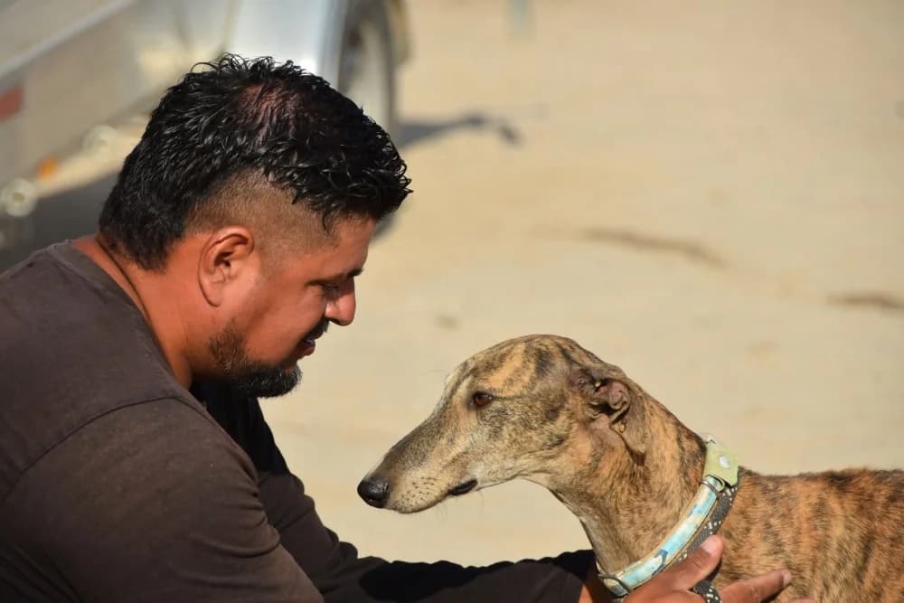 Solo de Moris DC photo 8