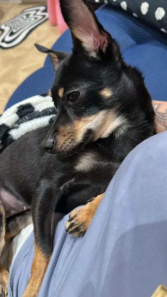 Spice een zonnestraaltje photo 6