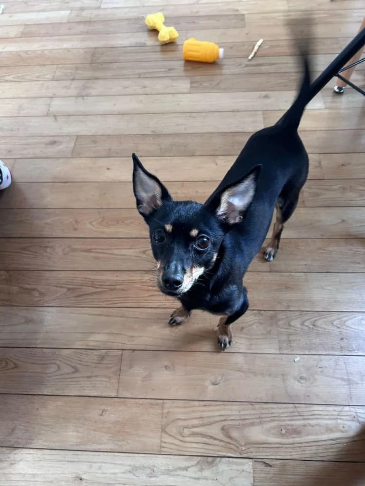 Spice een zonnestraaltje photo 7