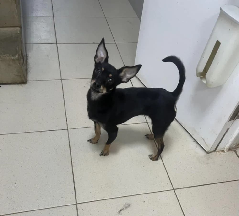 Spice een zonnestraaltje photo 8