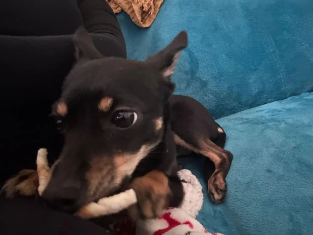 Spice een zonnestraaltje