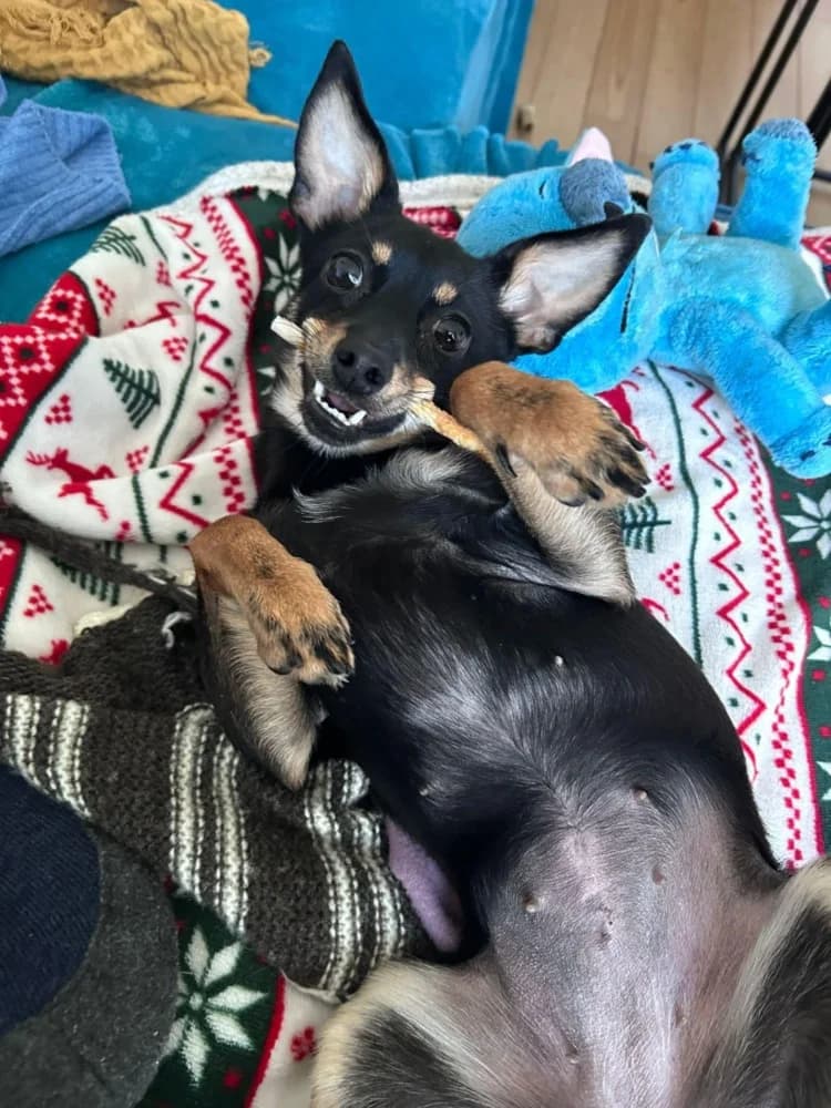 Spice een zonnestraaltje photo 2