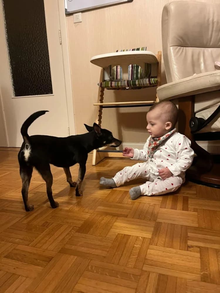 Spice een zonnestraaltje photo 3