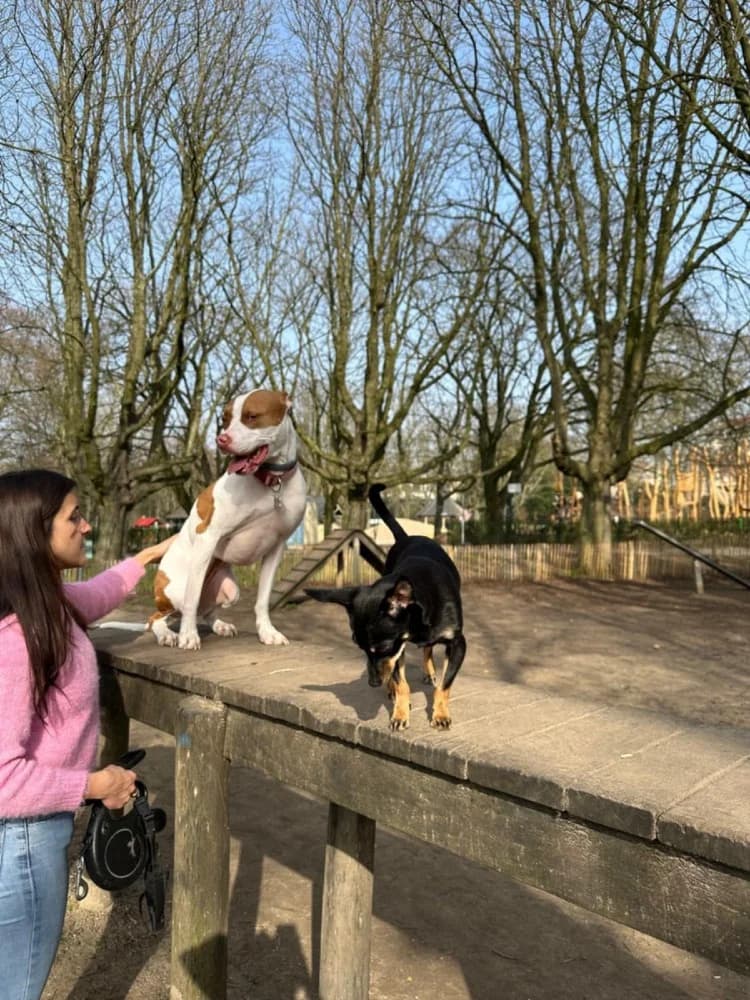 Spice een zonnestraaltje photo 4