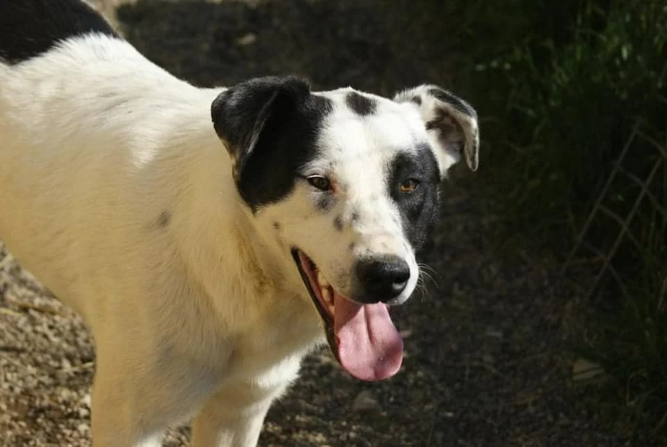 ❤️Stitch❤️ photo 5