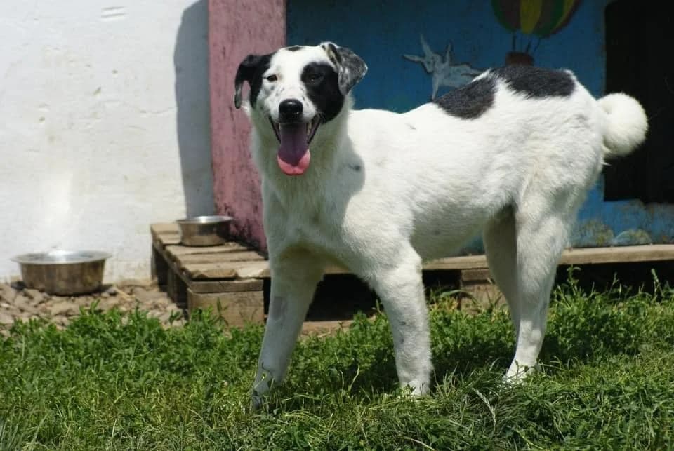 ❤️Stitch❤️ photo 3