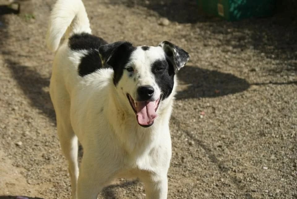 ❤️Stitch❤️ photo 4