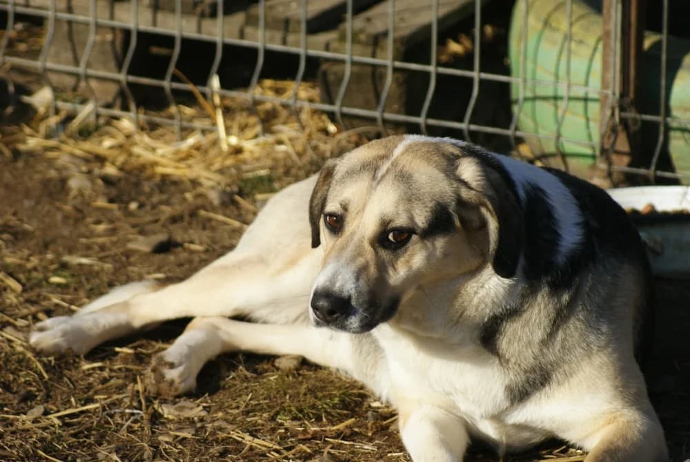 ❤️Tabea❤️ photo 5