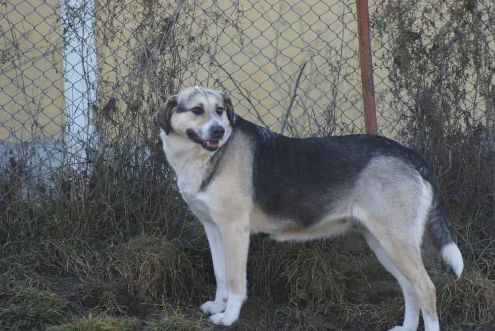 ❤️Tabea❤️ photo 6