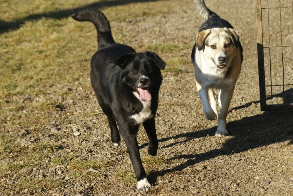 ❤️Tabea❤️ photo 7