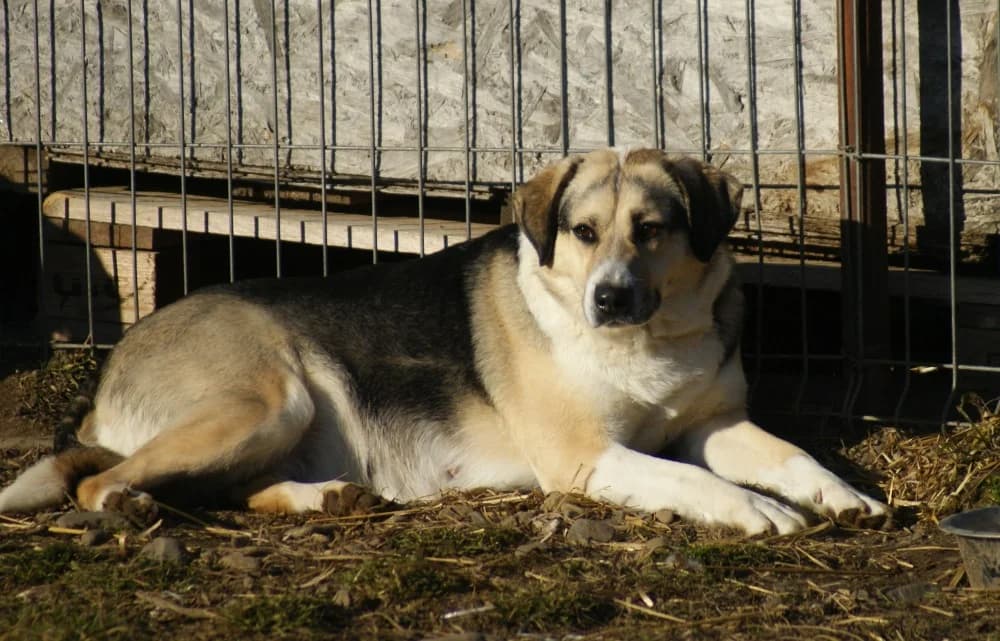 ❤️Tabea❤️ photo 8