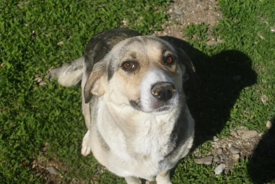 ❤️Tabea❤️ photo 2