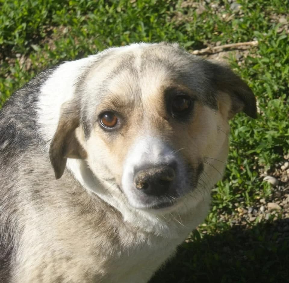 ❤️Tabea❤️ photo 3