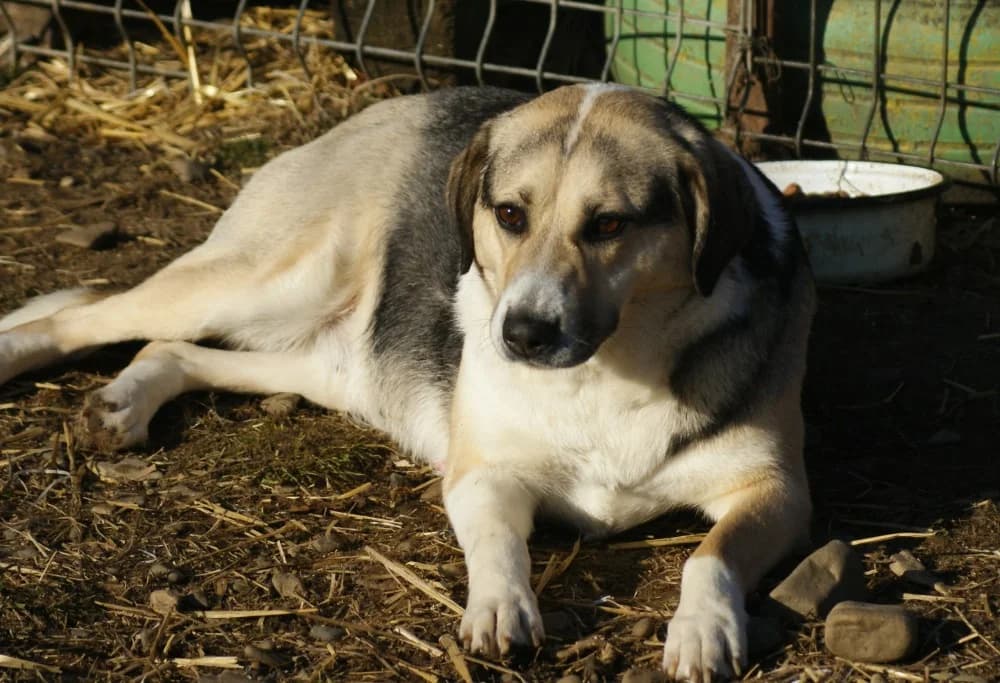 ❤️Tabea❤️ photo 4