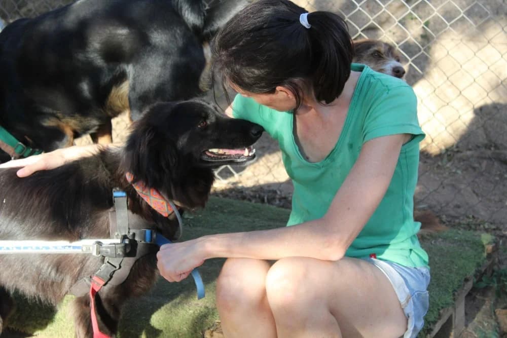 Tana BR, handicap photo 7