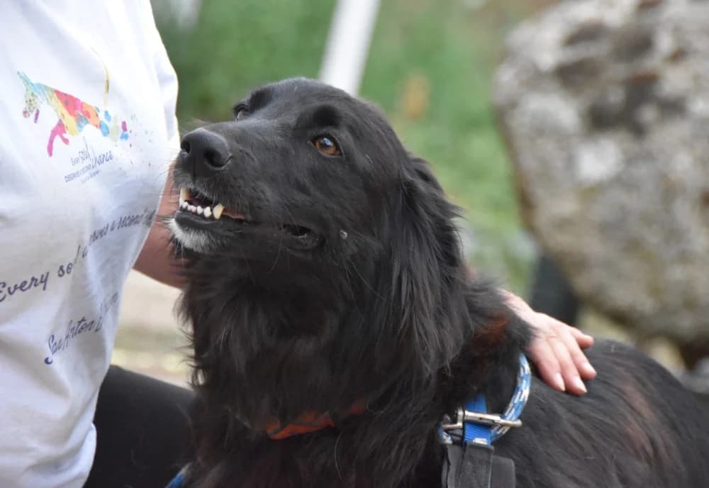 Tana BR, handicap photo 3