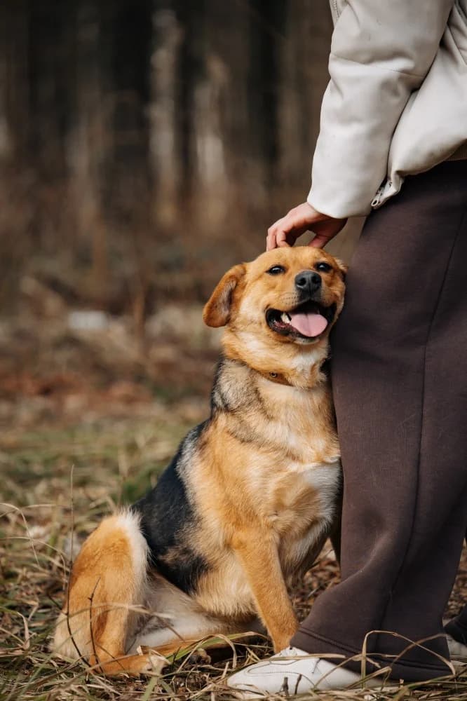 Tessa 45 cm van vreugde