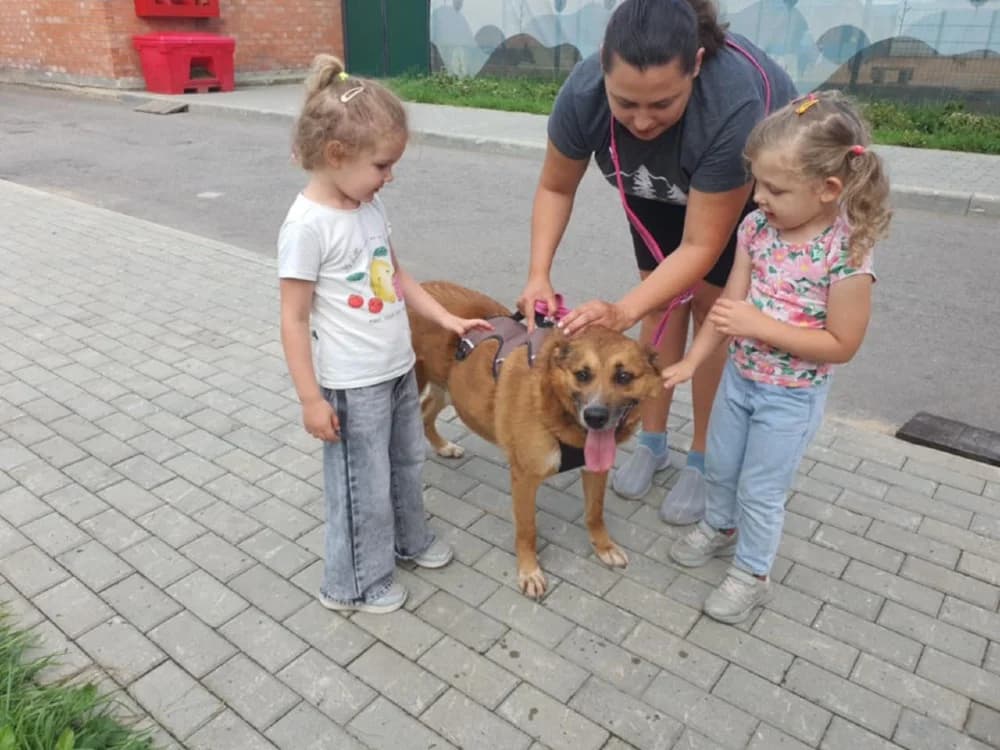 Tim een knuffelbeer photo 2