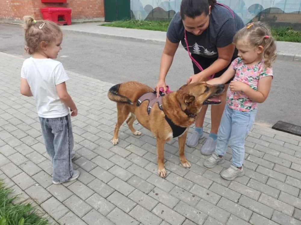 Tim een knuffelbeer photo 3