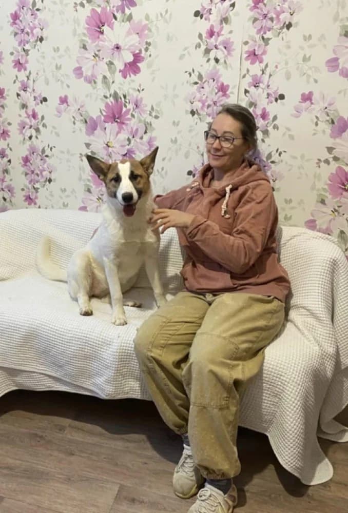 Trisha – een droom hond ! photo 7