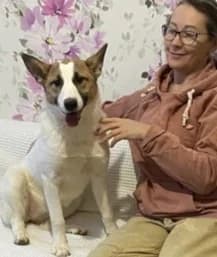 Trisha – een droom hond ! photo 3